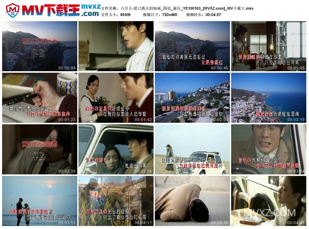 六月天-爱已离去泪如雨_国语_流行_YE100163